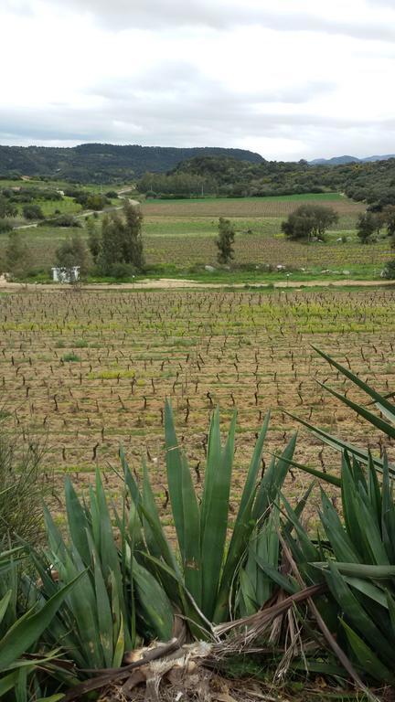 باري ساردو Agriturismo Su Solianu المظهر الخارجي الصورة