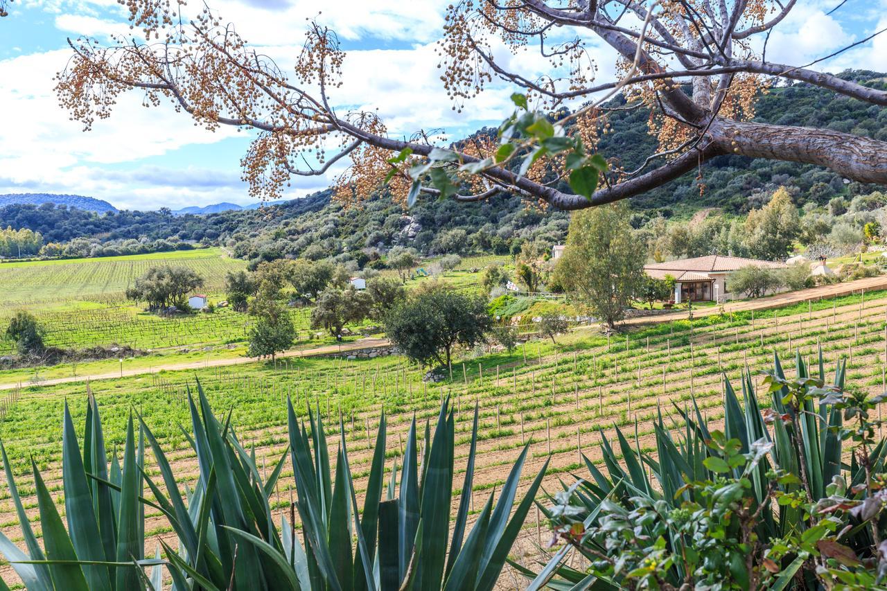 باري ساردو Agriturismo Su Solianu المظهر الخارجي الصورة